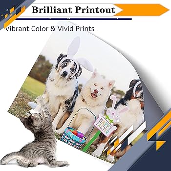 Canon BC-360 360XL　 BC-361 361XL Hicor BC 360 BC 361 XL Premium Color Ink Cartridge for Canon